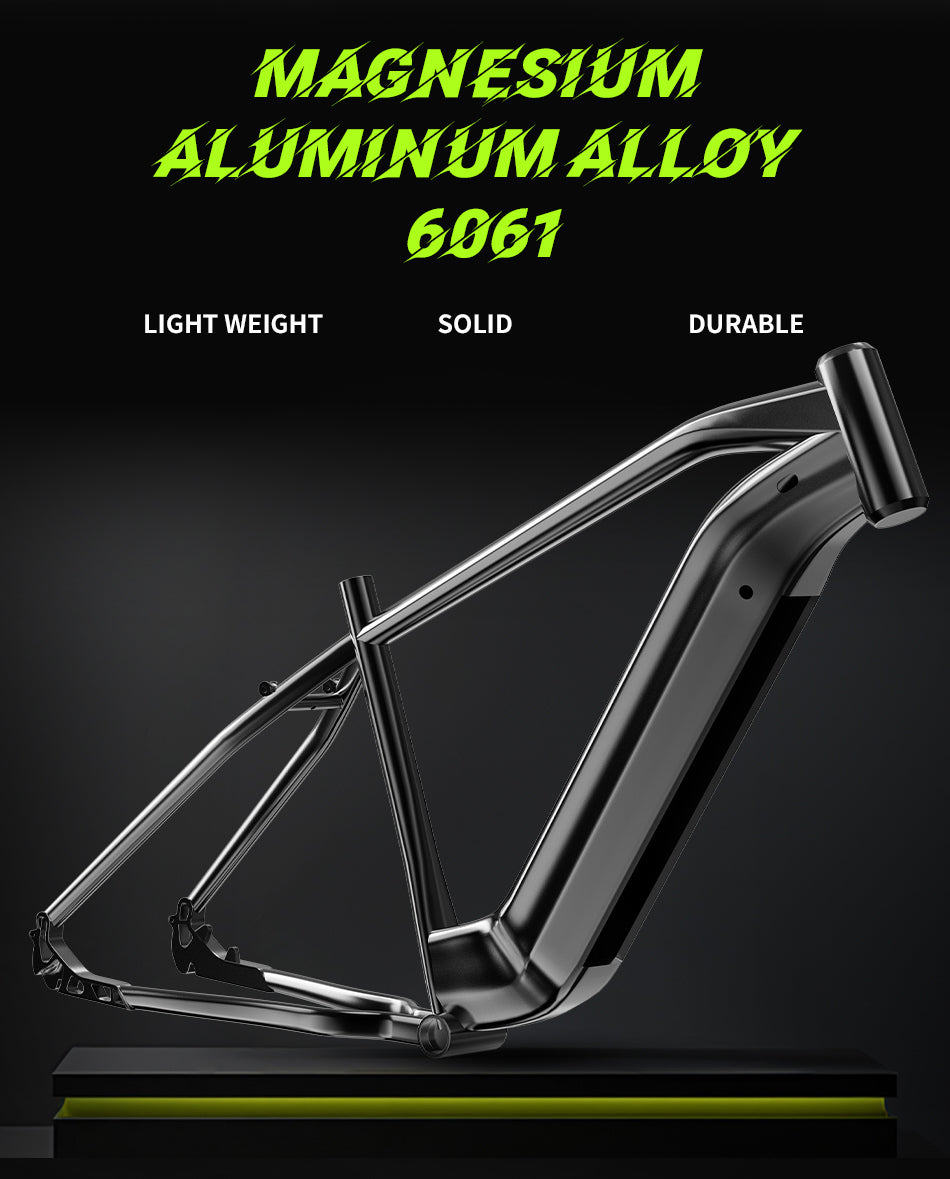 DUOTTS F26 PRO 750 W*2 Electric Bike DUOTTS F26 PRO 750 W*2 Electric Bike